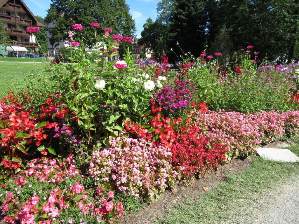 Per Bahn zur Gartenschau nach Bad Herrenalb